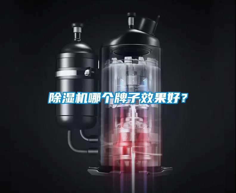 除濕機(jī)哪個(gè)牌子效果好？