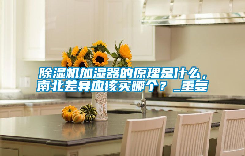除濕機加濕器的原理是什么，南北差異應該買哪個？_重復
