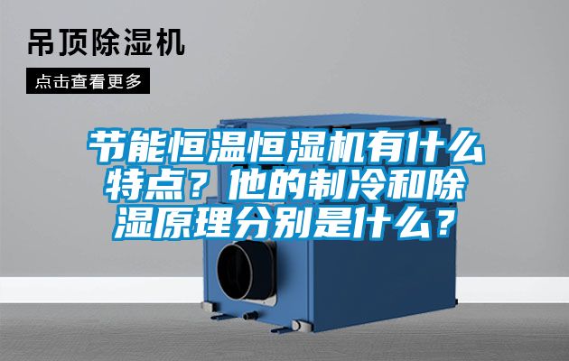 節(jié)能恒溫恒濕機(jī)有什么特點(diǎn)？他的制冷和除濕原理分別是什么？