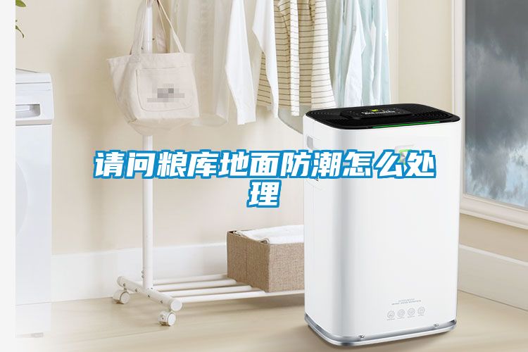 請(qǐng)問糧庫地面防潮怎么處理