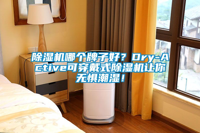 除濕機(jī)哪個(gè)牌子好？Dry-Active可穿戴式除濕機(jī)讓你無(wú)懼潮濕！