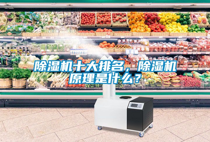 除濕機十大排名，除濕機原理是什么？