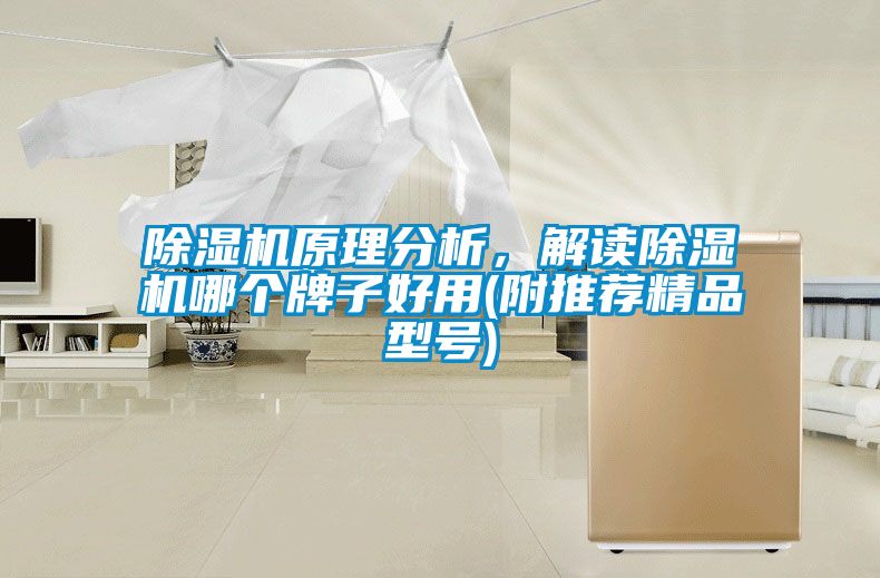 除濕機(jī)原理分析，解讀除濕機(jī)哪個牌子好用(附推薦精品型號)