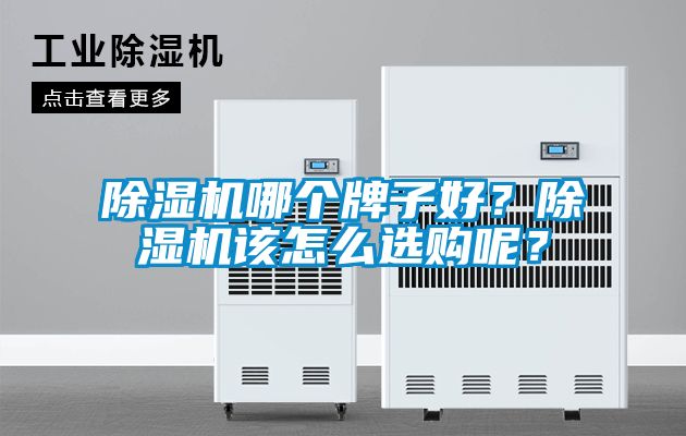 除濕機(jī)哪個(gè)牌子好？除濕機(jī)該怎么選購呢？