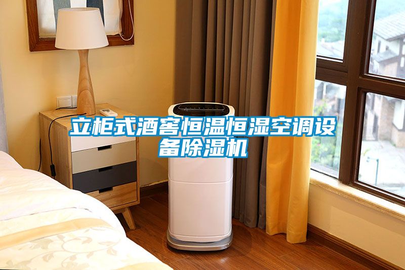 立柜式酒窖恒溫恒濕空調(diào)設(shè)備除濕機