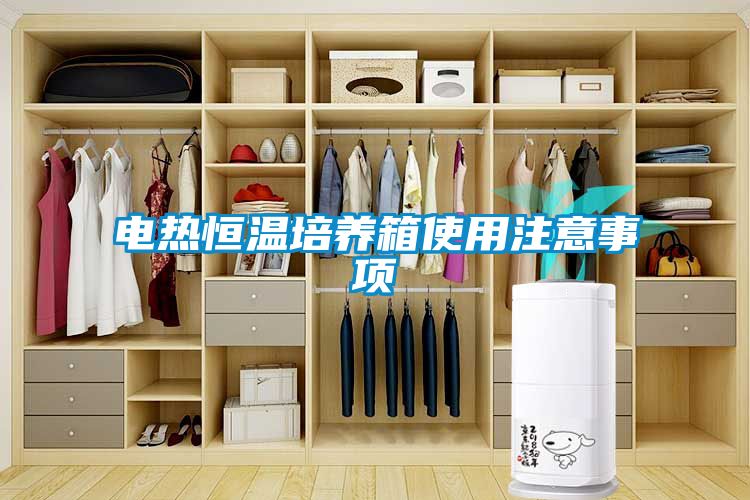 電熱恒溫培養(yǎng)箱使用注意事項(xiàng)