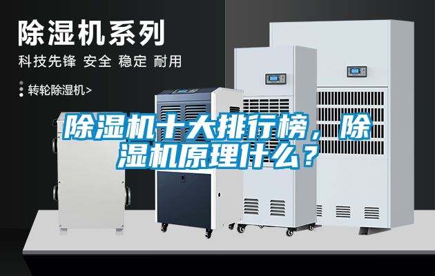 除濕機十大排行榜，除濕機原理什么？