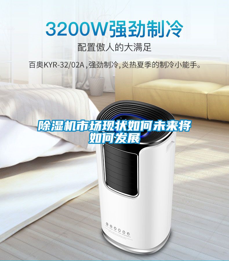 除濕機(jī)市場現(xiàn)狀如何未來將如何發(fā)展