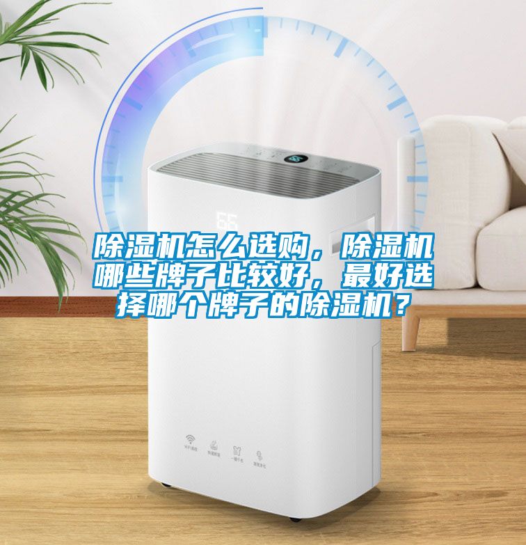 除濕機怎么選購，除濕機哪些牌子比較好，最好選擇哪個牌子的除濕機？