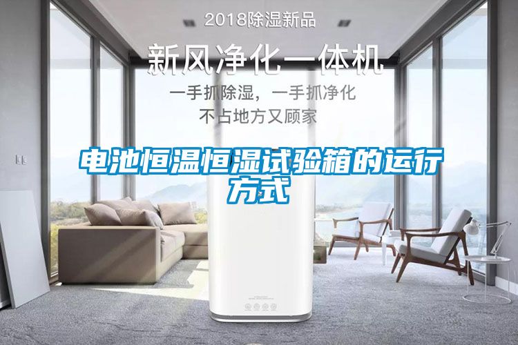 電池恒溫恒濕試驗(yàn)箱的運(yùn)行方式