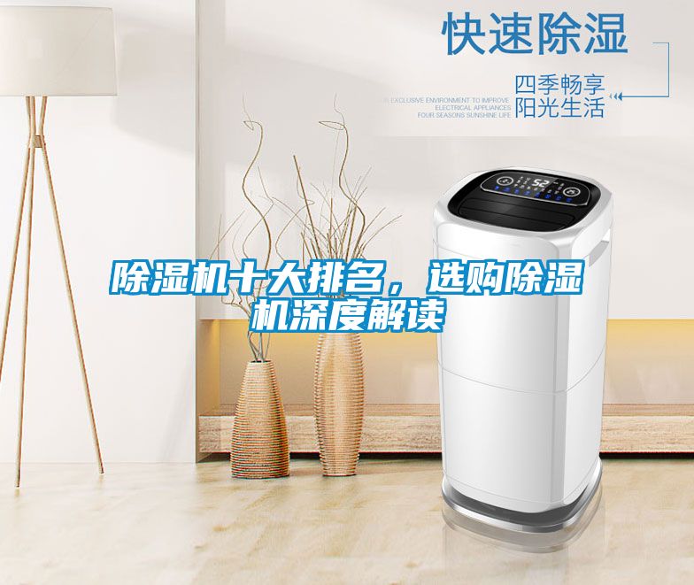 除濕機十大排名，選購除濕機深度解讀