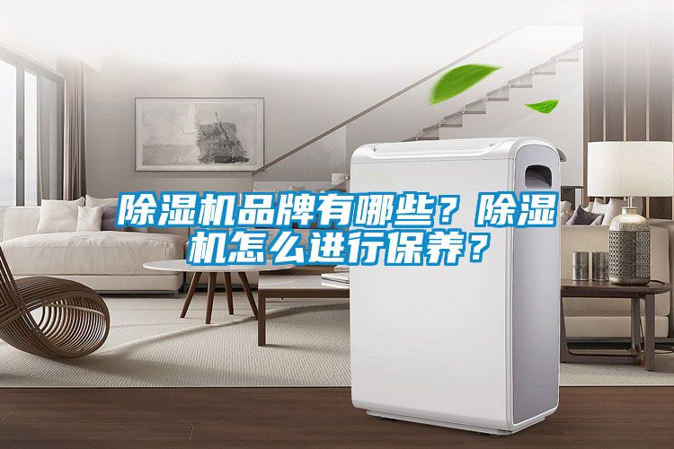 除濕機(jī)品牌有哪些？除濕機(jī)怎么進(jìn)行保養(yǎng)？