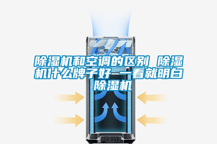 除濕機和空調的區(qū)別 除濕機什么牌子好 一看就明白 除濕機