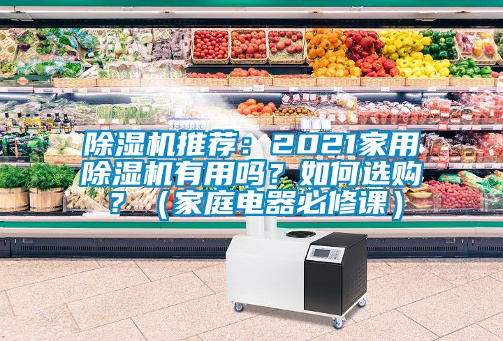 除濕機(jī)推薦：2021家用除濕機(jī)有用嗎？如何選購(gòu)？（家庭電器必修課）