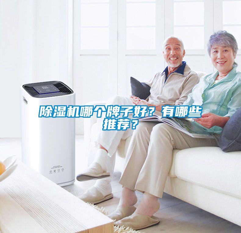 除濕機(jī)哪個(gè)牌子好？有哪些推薦？
