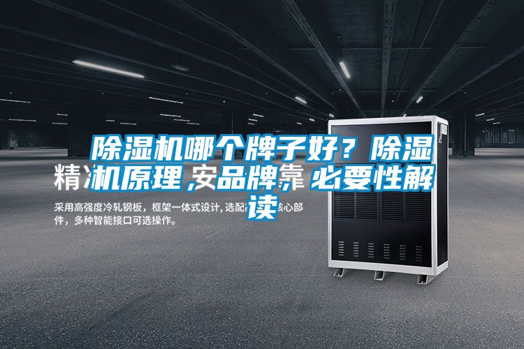 除濕機哪個牌子好？除濕機原理，品牌，必要性解讀