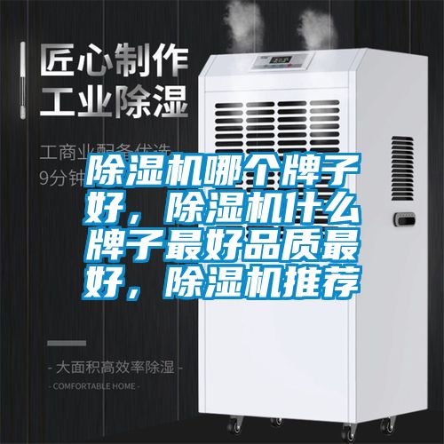 除濕機(jī)哪個(gè)牌子好，除濕機(jī)什么牌子最好品質(zhì)最好，除濕機(jī)推薦
