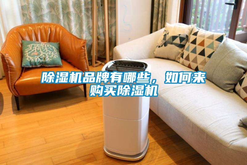 除濕機(jī)品牌有哪些，如何來購買除濕機(jī)