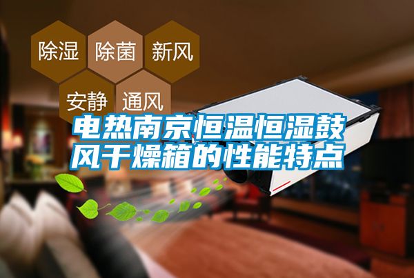 電熱南京恒溫恒濕鼓風(fēng)干燥箱的性能特點(diǎn)