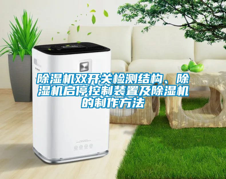除濕機(jī)雙開關(guān)檢測結(jié)構(gòu)、除濕機(jī)啟?？刂蒲b置及除濕機(jī)的制作方法