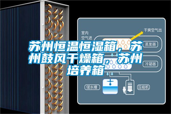 蘇州恒溫恒濕箱，蘇州鼓風(fēng)干燥箱，蘇州培養(yǎng)箱