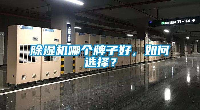 除濕機(jī)哪個(gè)牌子好，如何選擇？