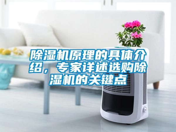 除濕機(jī)原理的具體介紹，專家詳述選購除濕機(jī)的關(guān)鍵點(diǎn)