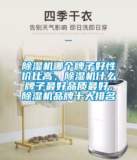 除濕機哪個牌子好性價比高，除濕機什么牌子最好品質(zhì)最好，除濕機品牌十大排名