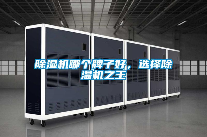 除濕機(jī)哪個(gè)牌子好，選擇除濕機(jī)之王