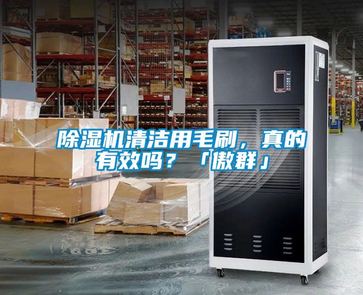 除濕機清潔用毛刷，真的有效嗎？「傲群」