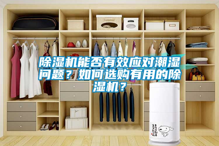 除濕機(jī)能否有效應(yīng)對(duì)潮濕問題？如何選購(gòu)有用的除濕機(jī)？