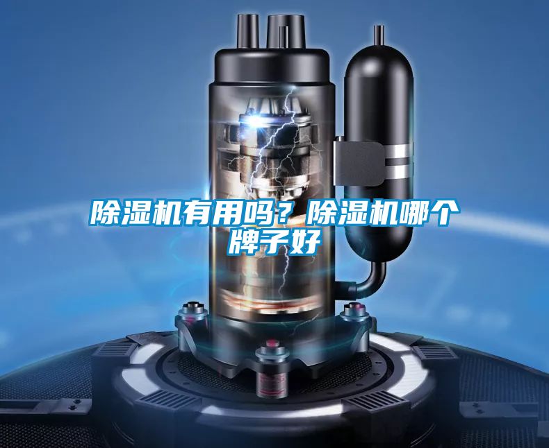 除濕機(jī)有用嗎？除濕機(jī)哪個(gè)牌子好