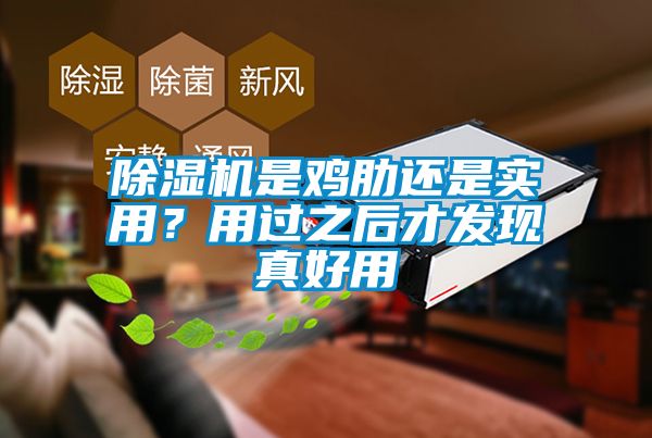 除濕機(jī)是雞肋還是實(shí)用？用過(guò)之后才發(fā)現(xiàn)真好用