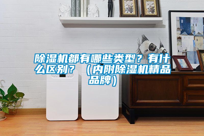 除濕機都有哪些類型？有什么區(qū)別？（內(nèi)附除濕機精品品牌）