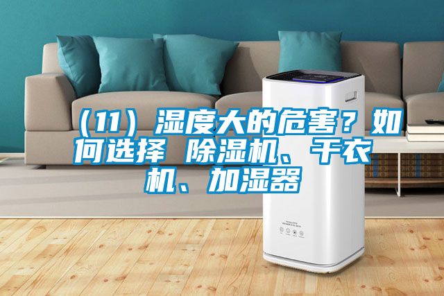 （11）濕度大的危害？如何選擇 除濕機、干衣機、加濕器