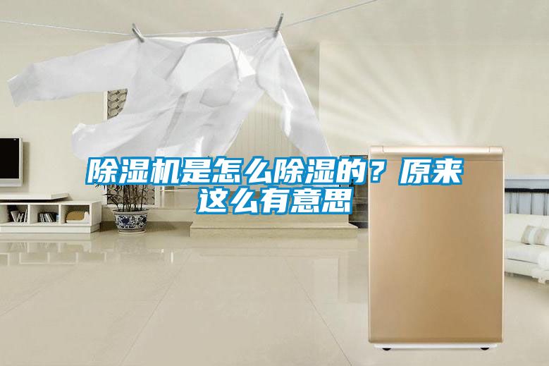 除濕機(jī)是怎么除濕的？原來(lái)這么有意思