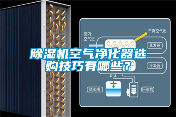 除濕機(jī)空氣凈化器選購(gòu)技巧有哪些？