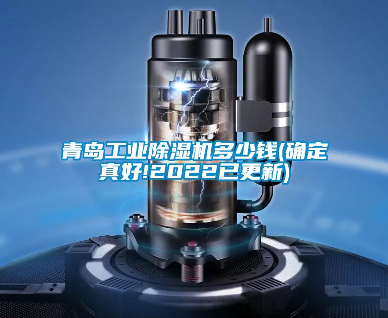 青島工業(yè)除濕機(jī)多少錢(qián)(確定真好!2022已更新)