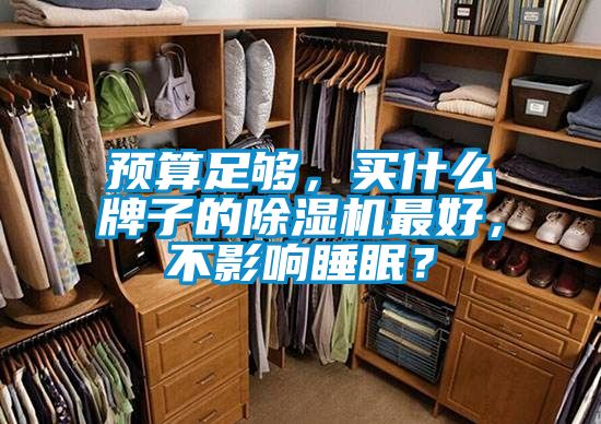 預(yù)算足夠，買什么牌子的除濕機最好，不影響睡眠？