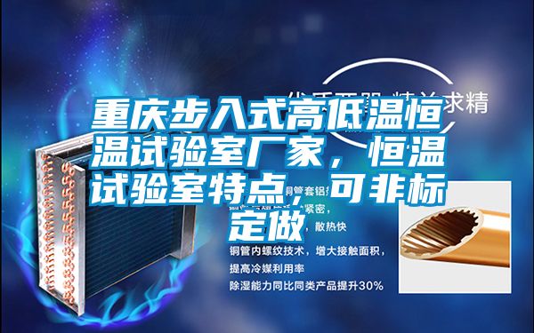 重慶步入式高低溫恒溫試驗(yàn)室廠家，恒溫試驗(yàn)室特點(diǎn)，可非標(biāo)定做