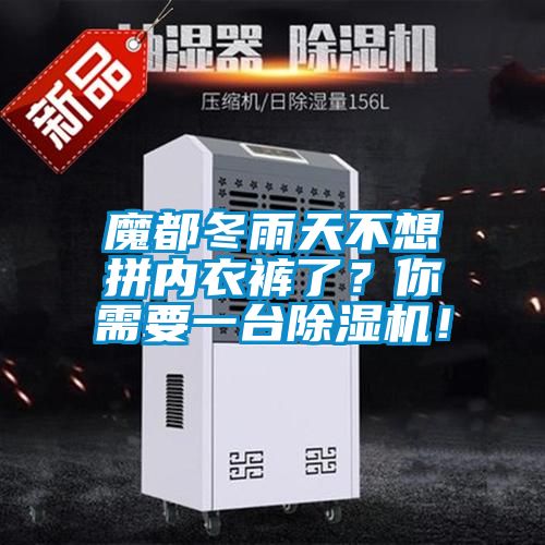 魔都冬雨天不想拼內(nèi)衣褲了？你需要一臺(tái)除濕機(jī)！