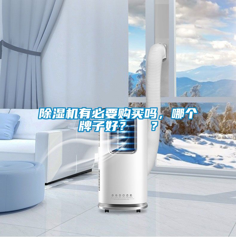 除濕機(jī)有必要購買嗎，哪個牌子好？  ？