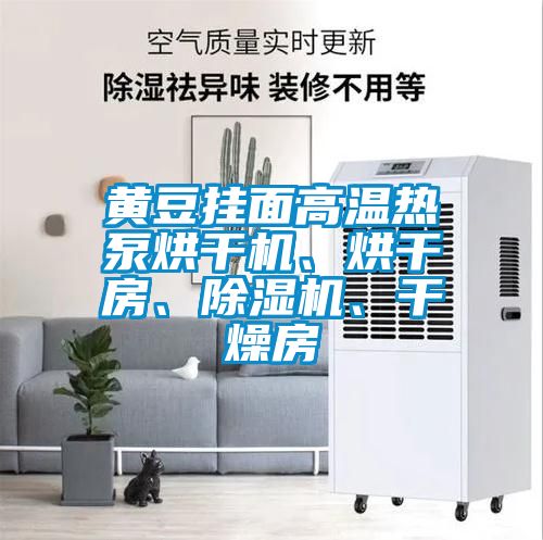 黃豆掛面高溫?zé)岜煤娓蓹C(jī)、烘干房、除濕機(jī)、干燥房