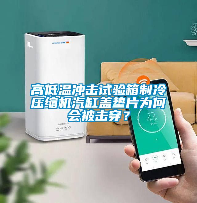 高低溫沖擊試驗(yàn)箱制冷壓縮機(jī)汽缸蓋墊片為何會(huì)被擊穿？