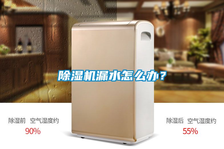 除濕機漏水怎么辦？