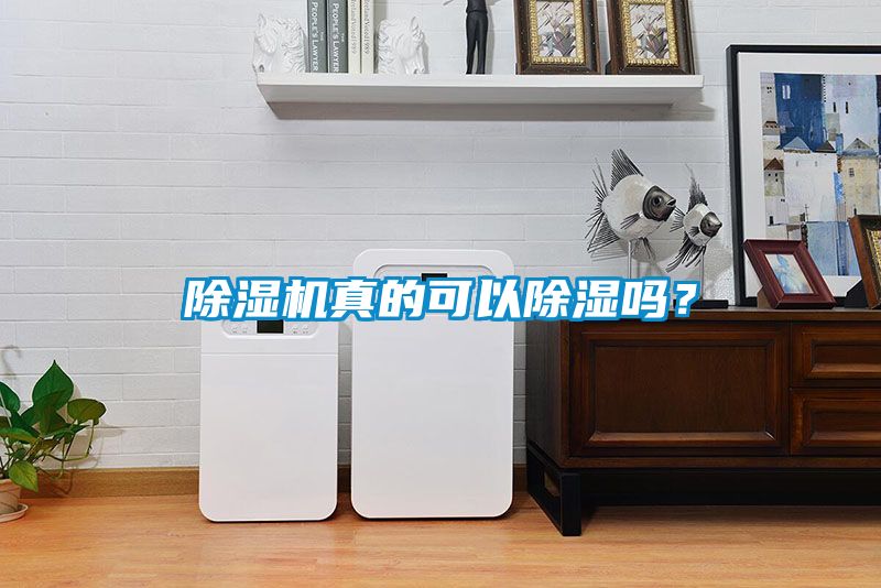 除濕機真的可以除濕嗎？