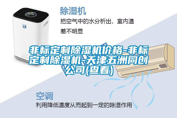 非標(biāo)定制除濕機價格-非標(biāo)定制除濕機-天津五洲同創(chuàng)公司(查看)
