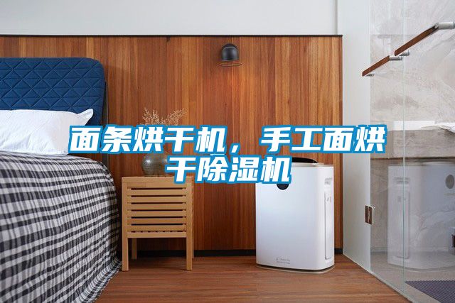 面條烘干機，手工面烘干除濕機