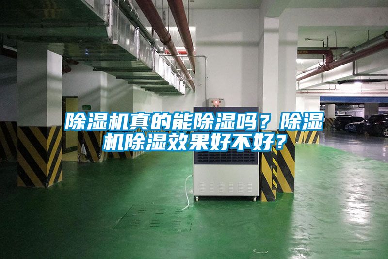 除濕機真的能除濕嗎？除濕機除濕效果好不好？