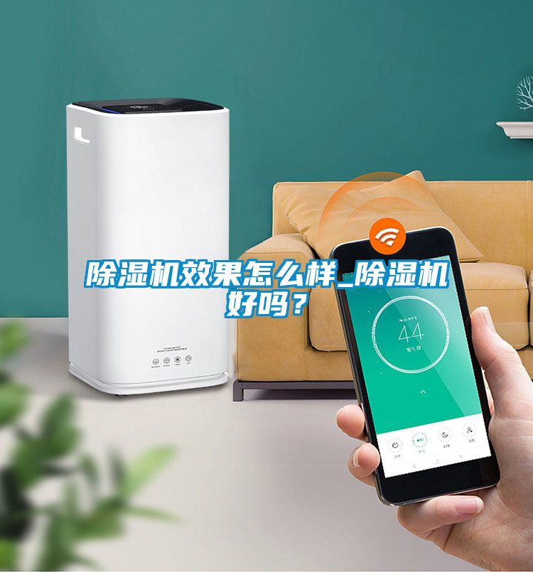 除濕機(jī)效果怎么樣_除濕機(jī)好嗎？
